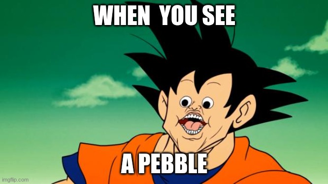 Derpy Interest Goku | WHEN  YOU SEE; A PEBBLE | image tagged in derpy interest goku | made w/ Imgflip meme maker