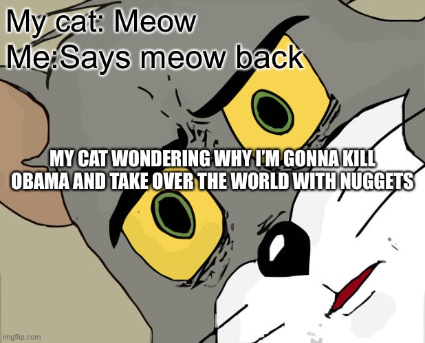 It is spoken in the prophecy | My cat: Meow; Me:Says meow back; MY CAT WONDERING WHY I’M GONNA KILL OBAMA AND TAKE OVER THE WORLD WITH NUGGETS | image tagged in memes,unsettled tom | made w/ Imgflip meme maker