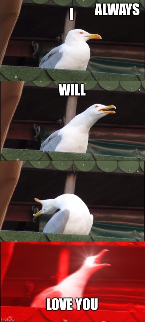Happiness | ALWAYS; I; WILL; LOVE YOU | image tagged in memes,inhaling seagull | made w/ Imgflip meme maker