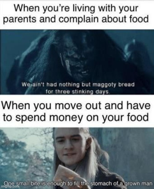 This is true | image tagged in funny,food,money,kids,adults,lord of the rings | made w/ Imgflip meme maker