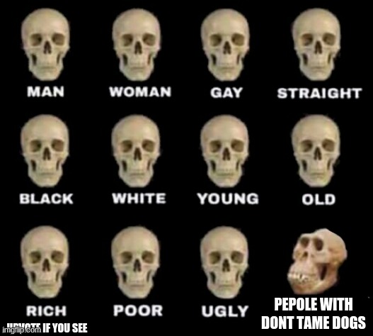 idiot skull | PEPOLE WITH DONT TAME DOGS; UPVOTE IF YOU SEE | image tagged in idiot skull | made w/ Imgflip meme maker