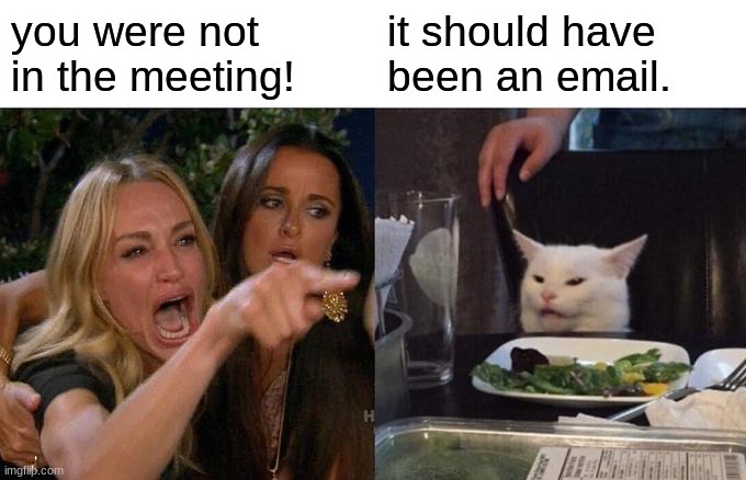 Woman Yelling At Cat Meme | you were not in the meeting! it should have been an email. | image tagged in memes,woman yelling at cat | made w/ Imgflip meme maker