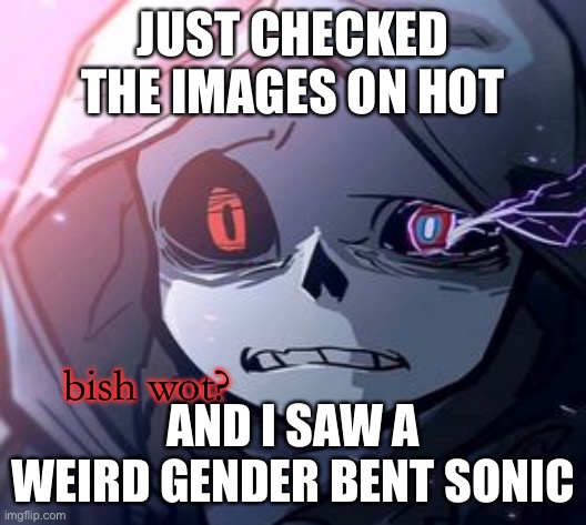 I’m not suprised its by cloud | JUST CHECKED THE IMAGES ON HOT; AND I SAW A WEIRD GENDER BENT SONIC | image tagged in dust sans bish wot | made w/ Imgflip meme maker