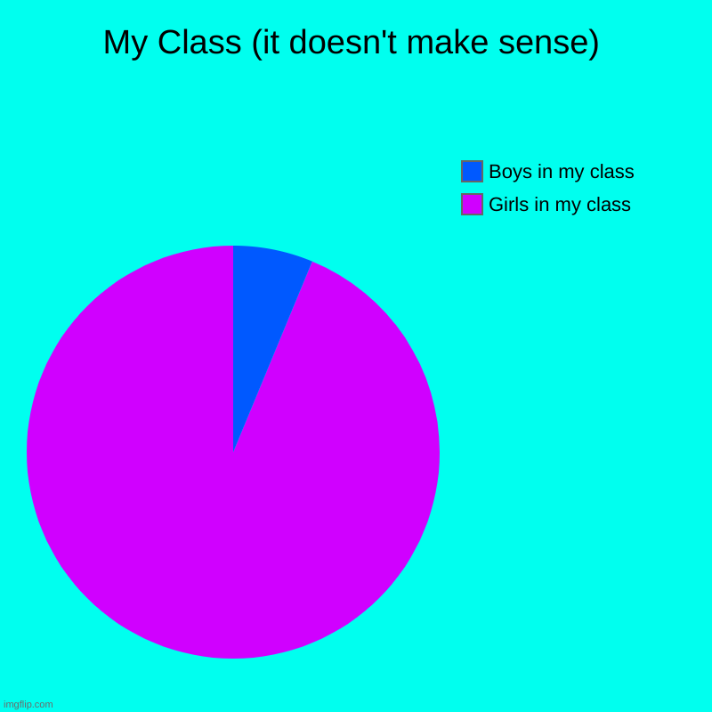 My Class (it doesn't make sense) | Girls in my class, Boys in my class | image tagged in charts,pie charts | made w/ Imgflip chart maker