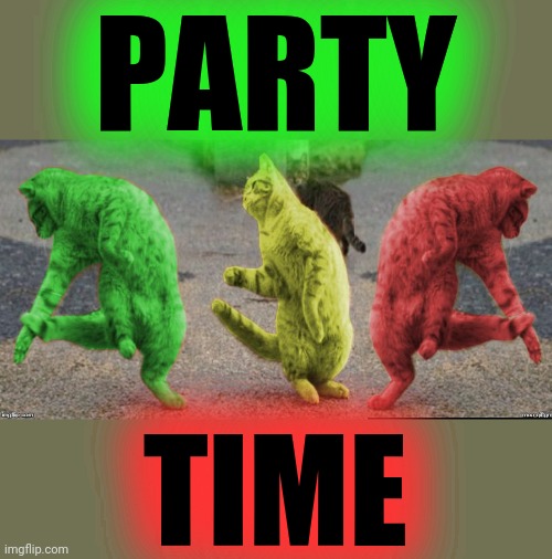 Three Dancing RayCats | PARTY TIME | image tagged in three dancing raycats | made w/ Imgflip meme maker