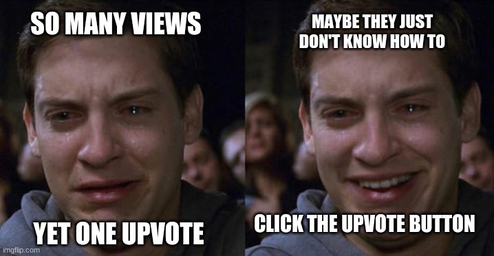 what I tell myself when there is just one upvote | MAYBE THEY JUST DON'T KNOW HOW TO; SO MANY VIEWS; YET ONE UPVOTE; CLICK THE UPVOTE BUTTON | image tagged in memes,crying peter parker | made w/ Imgflip meme maker