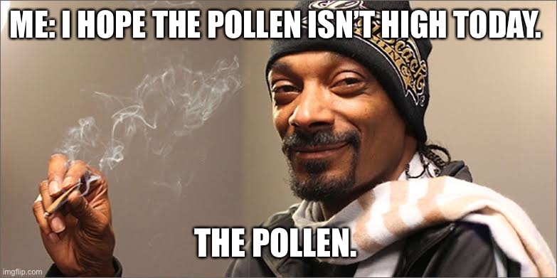 Snoop high pollen | ME: I HOPE THE POLLEN ISN’T HIGH TODAY. THE POLLEN. | image tagged in snoop dog high | made w/ Imgflip meme maker
