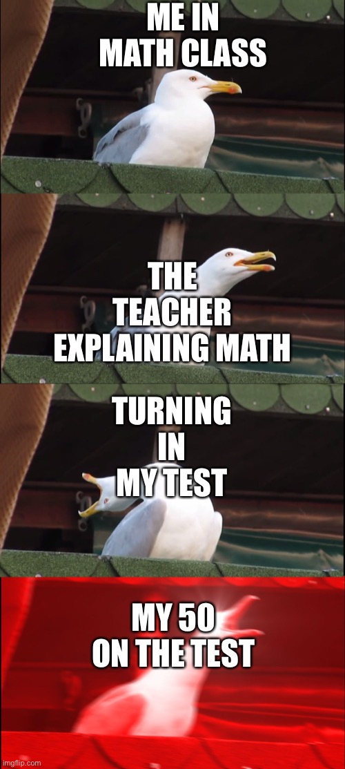 Me and a friend made this- Math be like | ME IN MATH CLASS; THE TEACHER EXPLAINING MATH; TURNING IN MY TEST; MY 50 ON THE TEST | image tagged in seagull | made w/ Imgflip meme maker