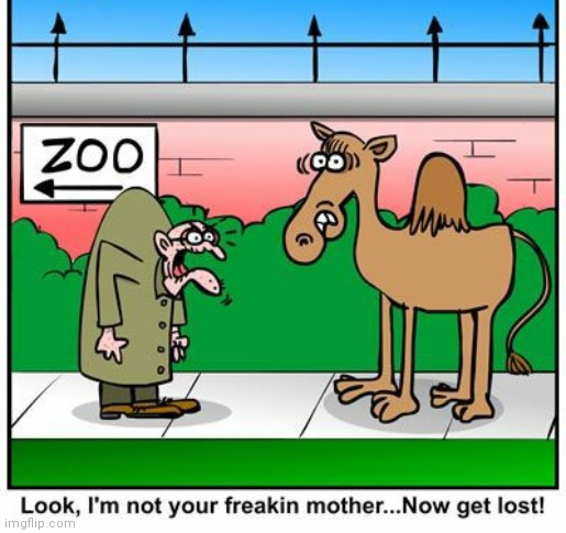 image tagged in comics/cartoons | made w/ Imgflip meme maker
