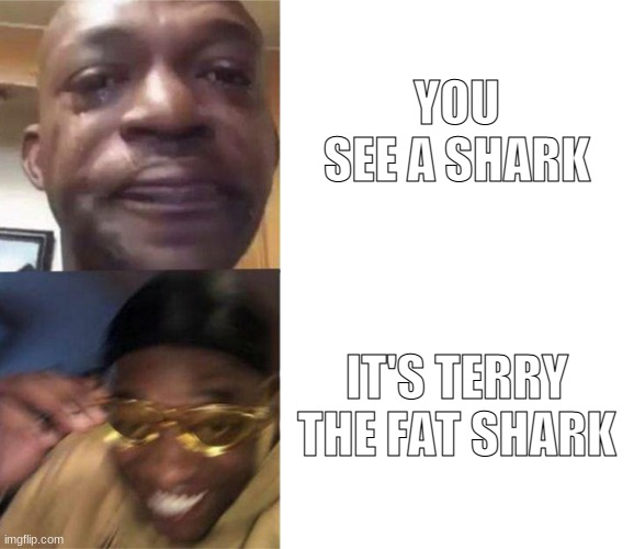 Black Guy Crying and Black Guy Laughing | YOU SEE A SHARK; IT'S TERRY THE FAT SHARK | image tagged in black guy crying and black guy laughing | made w/ Imgflip meme maker