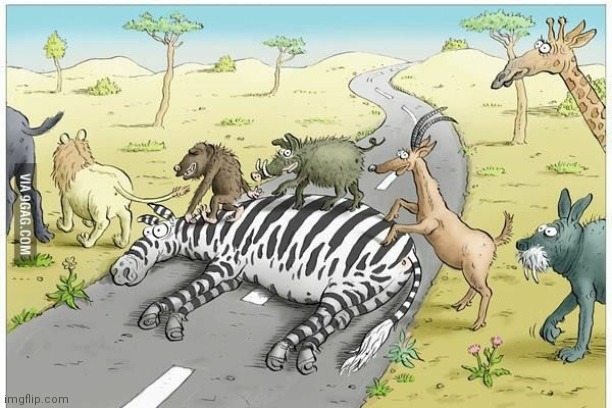 A Zebra crossing! | image tagged in lol so funny | made w/ Imgflip meme maker