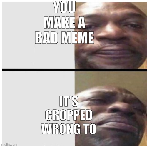 YOU MAKE A BAD MEME; IT'S CROPPED WRONG TO | image tagged in memes | made w/ Imgflip meme maker
