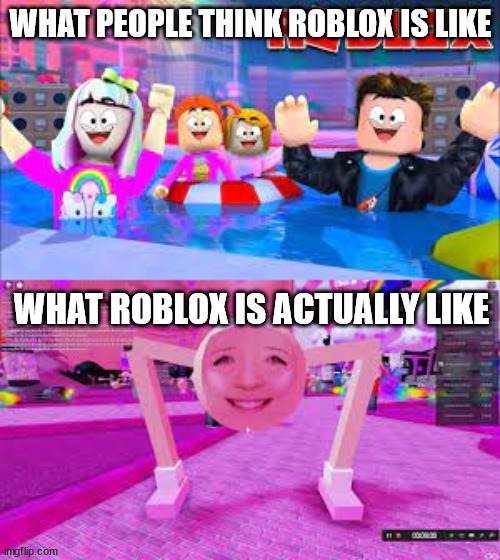 roblox fun happy fun roblox fun is fun happy fun | WHAT PEOPLE THINK ROBLOX IS LIKE; WHAT ROBLOX IS ACTUALLY LIKE | image tagged in fun,happy,roblox | made w/ Imgflip meme maker