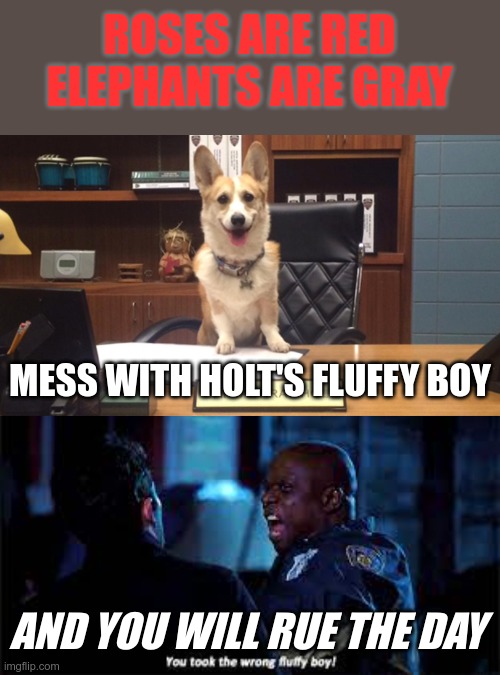 He turns into John Wick | ROSES ARE RED
ELEPHANTS ARE GRAY; MESS WITH HOLT'S FLUFFY BOY; AND YOU WILL RUE THE DAY | image tagged in brooklyn nine nine,brooklyn 99,b99,holt,cheddar,fluffy boy | made w/ Imgflip meme maker