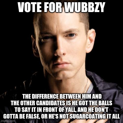 So will the real Wubbzy please stand up, and will the voters put each hand up? | VOTE FOR WUBBZY; THE DIFFERENCE BETWEEN HIM AND THE OTHER CANDIDATES IS HE GOT THE BALLS TO SAY IT IN FRONT OF YALL, AND HE DON'T GOTTA BE FALSE, OR HE'S NOT SUGARCOATING IT ALL | image tagged in memes,eminem | made w/ Imgflip meme maker