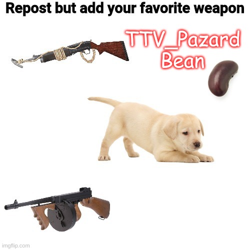 TTV_Pazard
Bean | made w/ Imgflip meme maker