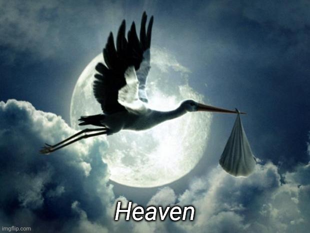 stork | Heaven | image tagged in stork | made w/ Imgflip meme maker