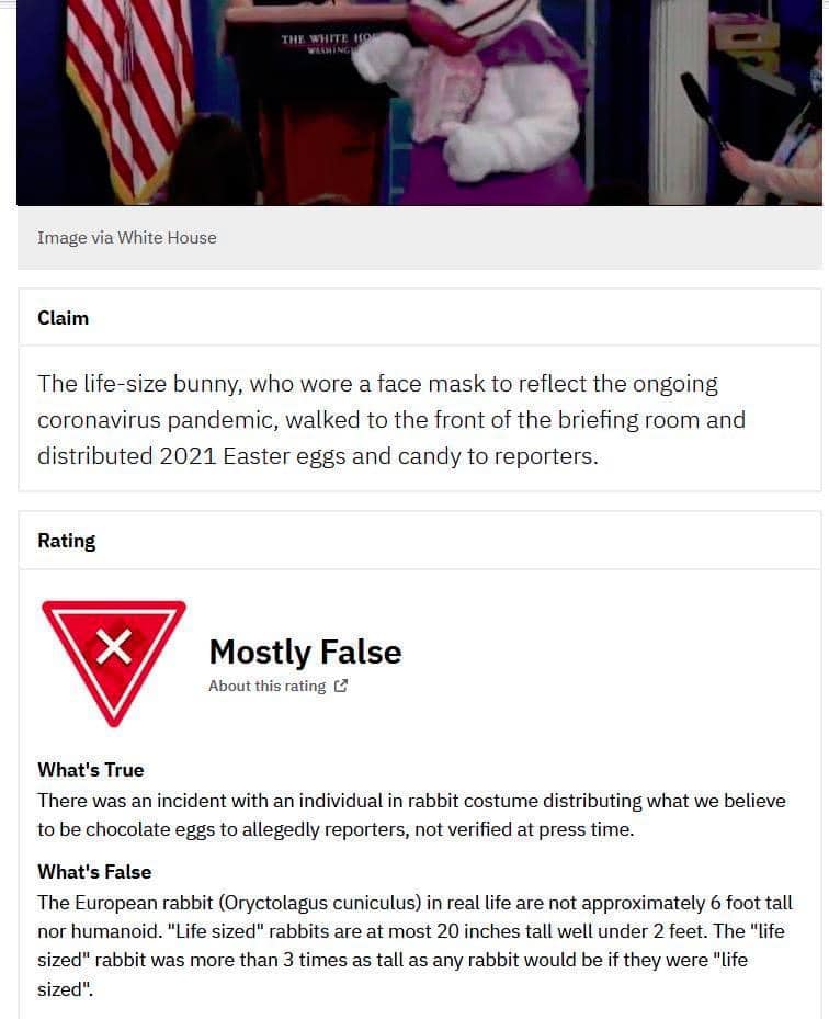 High Quality Easter bunny fact check Blank Meme Template