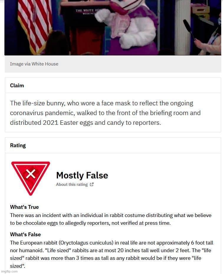 msm lies maga | image tagged in easter bunny fact check,msm lies,msm,mainstream media,easter bunny,easter | made w/ Imgflip meme maker
