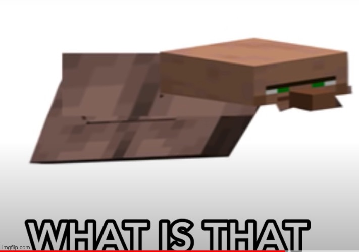 WHAT IS THAT | image tagged in what is that | made w/ Imgflip meme maker