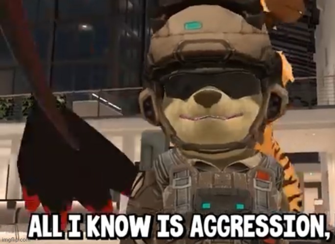 All I know is aggression | image tagged in all i know is aggression | made w/ Imgflip meme maker