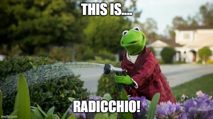  THIS IS.... RADICCHIO! | image tagged in kermit plants | made w/ Imgflip meme maker