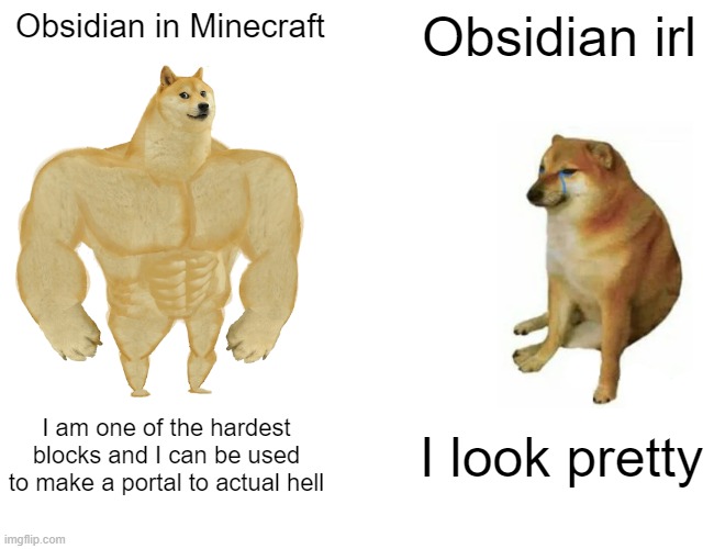Buff Doge vs. Cheems | Obsidian in Minecraft; Obsidian irl; I am one of the hardest blocks and I can be used to make a portal to actual hell; I look pretty | image tagged in memes,buff doge vs cheems | made w/ Imgflip meme maker