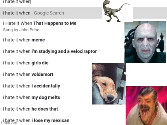 google is weird | image tagged in google search,funny,voldemort,dog,dinosaur | made w/ Imgflip meme maker