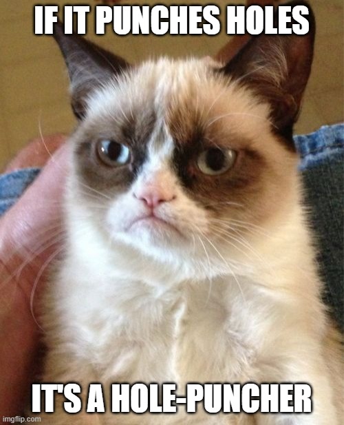 Grumpy Cat Meme | IF IT PUNCHES HOLES IT'S A HOLE-PUNCHER | image tagged in memes,grumpy cat | made w/ Imgflip meme maker