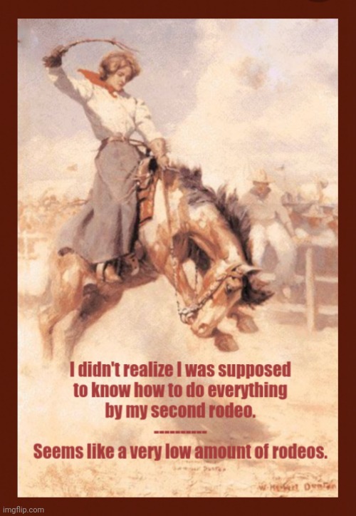 Guess I Need More Rodeos | image tagged in rodeo,life experience,knowledge | made w/ Imgflip meme maker