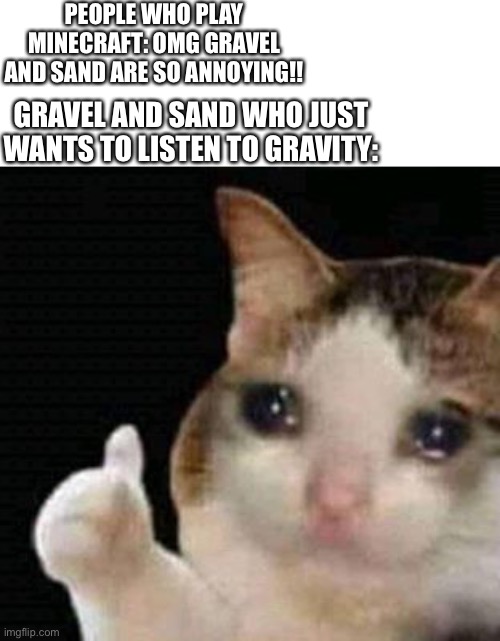 Is this true? |  PEOPLE WHO PLAY MINECRAFT: OMG GRAVEL AND SAND ARE SO ANNOYING!! GRAVEL AND SAND WHO JUST WANTS TO LISTEN TO GRAVITY: | image tagged in sad thumbs up cat | made w/ Imgflip meme maker