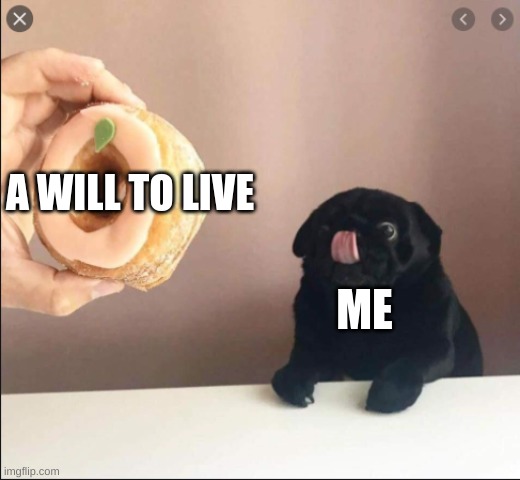 A WILL TO LIVE; ME | image tagged in dog,doughnut | made w/ Imgflip meme maker
