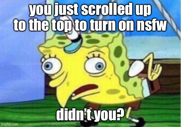 If you didn’t that is awkward | you just scrolled up to the top to turn on nsfw; didn’t you? | image tagged in memes,mocking spongebob,funny,lol,fake nsfw,meme | made w/ Imgflip meme maker