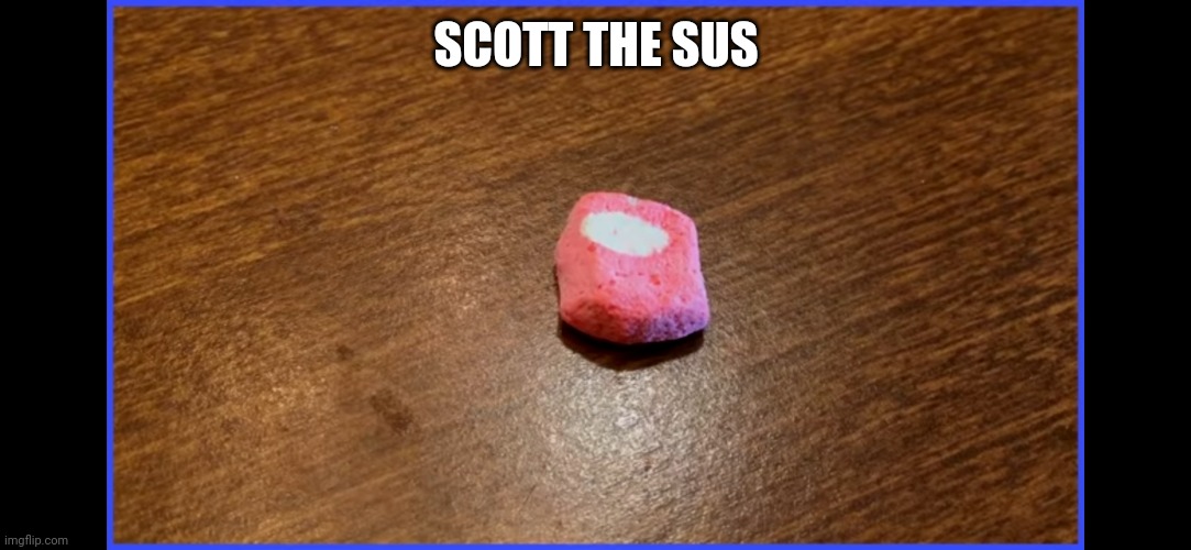 Help | SCOTT THE SUS | image tagged in amongus | made w/ Imgflip meme maker