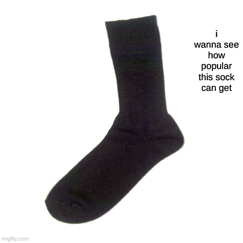 i wanna see how popular this sock can get | image tagged in sock,popular,funny,fun | made w/ Imgflip meme maker