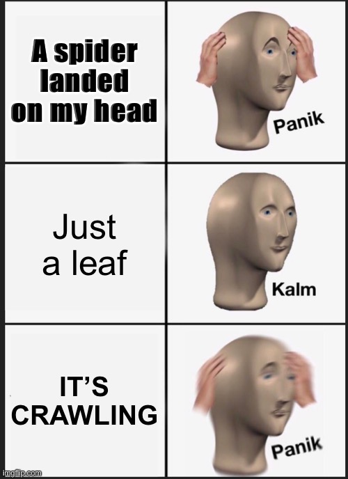 Panik Kalm Panik Meme | A spider landed on my head; Just a leaf; IT’S CRAWLING | image tagged in memes,panik kalm panik,spider | made w/ Imgflip meme maker