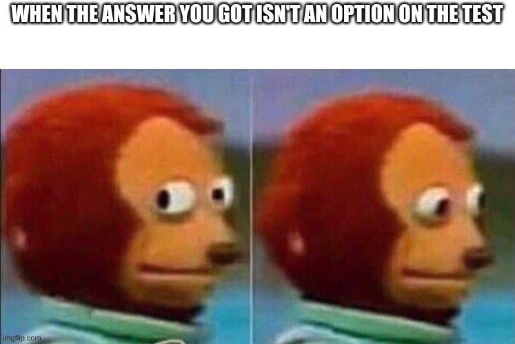 Ruh-Roh Raggy | WHEN THE ANSWER YOU GOT ISN'T AN OPTION ON THE TEST | image tagged in monkey looking away,test,uh oh | made w/ Imgflip meme maker