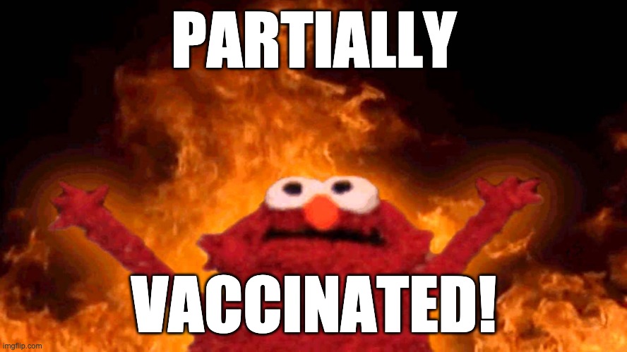 You're free. You're finally (partially) free. | PARTIALLY; VACCINATED! | image tagged in elmo fire | made w/ Imgflip meme maker