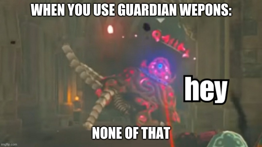 Guardian hey | WHEN YOU USE GUARDIAN WEPONS:; NONE OF THAT | image tagged in guardian hey | made w/ Imgflip meme maker