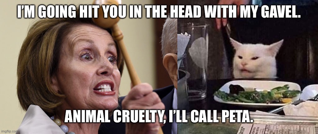 Pelosi Cat | I’M GOING HIT YOU IN THE HEAD WITH MY GAVEL. ANIMAL CRUELTY, I’LL CALL PETA. | image tagged in pelosi cat,cat | made w/ Imgflip meme maker