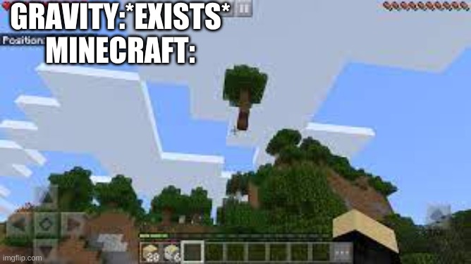 minecraft | GRAVITY:*EXISTS*
MINECRAFT: | image tagged in gravity | made w/ Imgflip meme maker