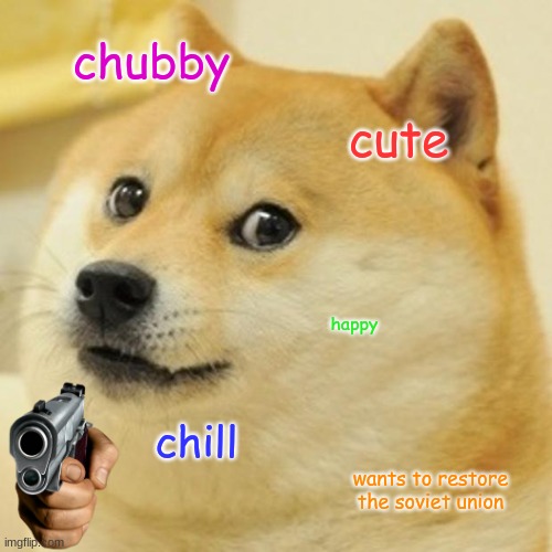 Doge | chubby; cute; happy; chill; wants to restore the soviet union | image tagged in memes,doge | made w/ Imgflip meme maker