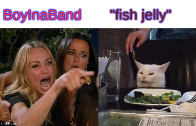 Woman Yelling At Cat | BoyInaBand; "fish jelly" | image tagged in memes,woman yelling at cat | made w/ Imgflip meme maker