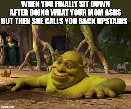 shrek | WHEN YOU FINALLY SIT DOWN AFTER DOING WHAT YOUR MOM ASKS BUT THEN SHE CALLS YOU BACK UPSTAIRS | image tagged in shrek,i'm 16 so don't try it,who reads these | made w/ Imgflip meme maker