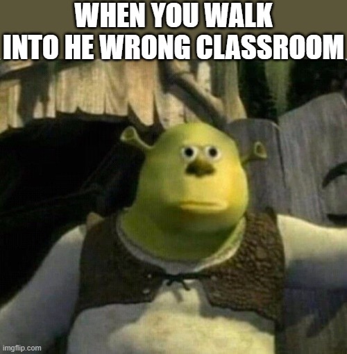 Surprised Shrek | WHEN YOU WALK INTO HE WRONG CLASSROOM | image tagged in surprised shrek,i'm 16 so don't try it,who reads these | made w/ Imgflip meme maker