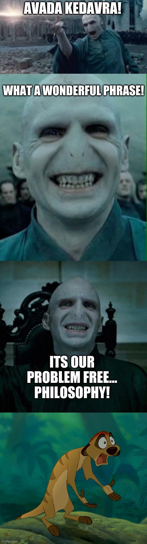 AVADA KEDAVRA! WHAT A WONDERFUL PHRASE! ITS OUR PROBLEM FREE... PHILOSOPHY! | image tagged in voldemort,voldemort grin,voldemort smiling,baffled timon | made w/ Imgflip meme maker