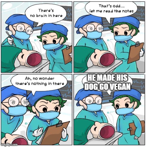 Can't say they're wrong | HE MADE HIS DOG GO VEGAN | image tagged in no wonder there's nothing in here | made w/ Imgflip meme maker