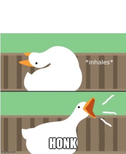 Untitled goose game honk | HONK | image tagged in untitled goose game honk | made w/ Imgflip meme maker