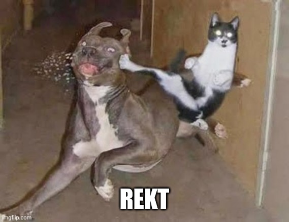 GET REKT | REKT | image tagged in get rekt | made w/ Imgflip meme maker