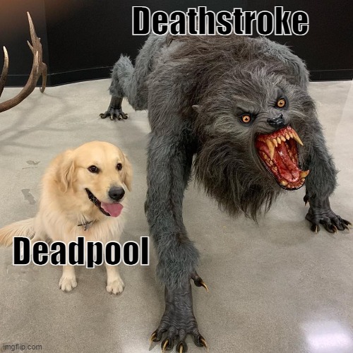 Good dog scary dog | Deathstroke; Deadpool | image tagged in good dog scary dog | made w/ Imgflip meme maker